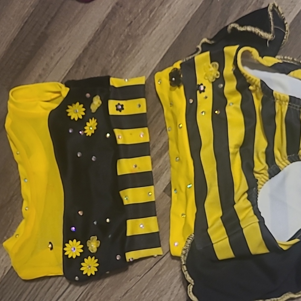 Bee Dance Costume